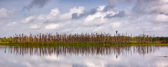 Belinda Wolcott Photography