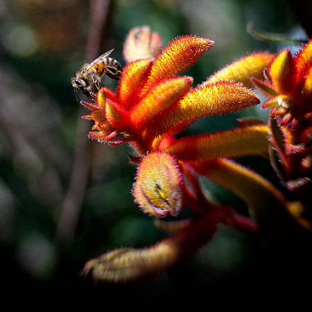 Belinda Wolcott Photography