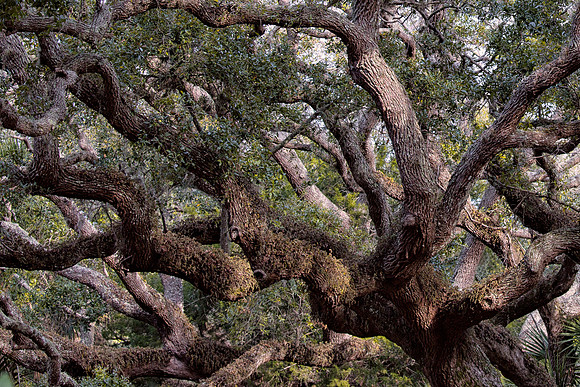 Belinda Wolcott Photography