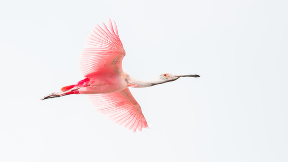 Belinda Wolcott Photography