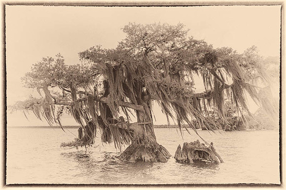 Belinda Wolcott Photography