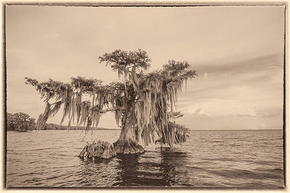 Belinda Wolcott Photography