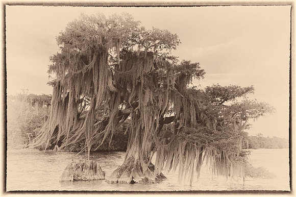 Belinda Wolcott Photography
